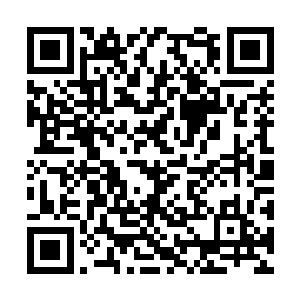 就好像是世界末日来临时铺天盖地的巨大变化一般二维码生成