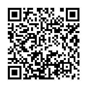 就好像是去郊游的路上顺带过来摄影棚看看的一般二维码生成