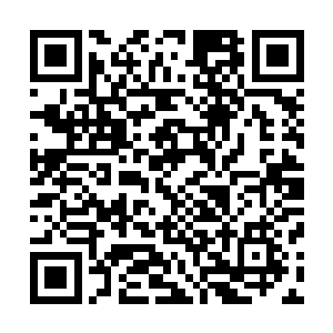 就好像是把凌寻鹤他们没有在宁国过的大年夜给补上了一般二维码生成