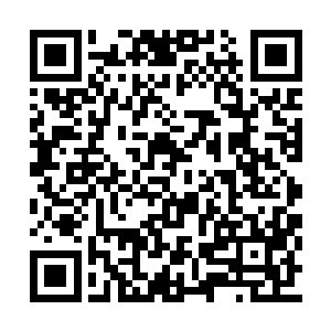 就好像是看到了一个主动往坑里面跳的笨蛋一样二维码生成