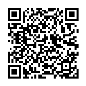 就好像湖水下有什么大型鱼类正以极快的速度向两小孩游来二维码生成