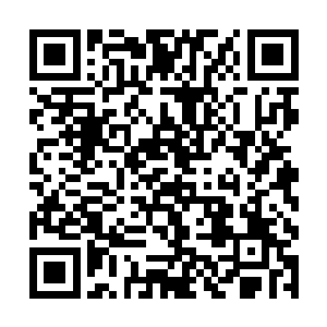 就好像老天爷专门朝着他梦中情人的样子给他定做的二维码生成