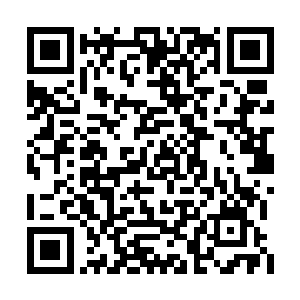 就好像荣光猜得到奥索里奥接下来会做什么一样二维码生成