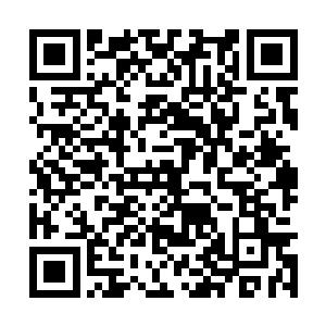 就好像蚁巢里面永远都不会有工蚁敢挑战蚁后一样二维码生成