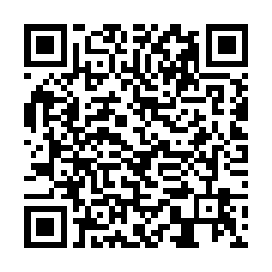 就好像这些冰块中蕴含的寒冰之力都被他吞噬了一般二维码生成