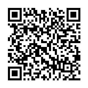 就好像这些金鱼完全能够听懂戈尔切克斯基话似的二维码生成