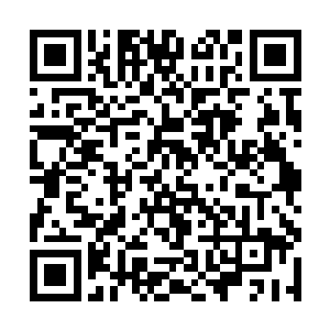 就好像这嗡嗡声和自己的身体所有器官都产生了共鸣二维码生成