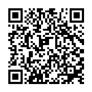 就好像这般瓷娃娃般可爱的孩子如洪水猛兽般可怕二维码生成