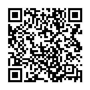 就好像黑色的巨浪随时会将整条红色通道吞没一般二维码生成