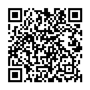 就好比是放在塑料袋里的萤火虫一样……像这么强的东西二维码生成