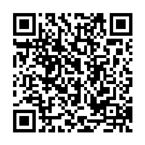 就好比是99年的拉菲和过期九个月的葡萄干……这种感觉二维码生成