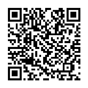 就如同一个被人抢走了心爱的玩具一般的孩子一样二维码生成