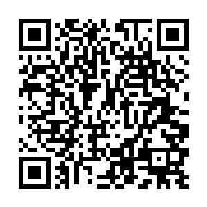 就如同之前雨果和佩德罗等人在摇滚之夜讨论的一样二维码生成