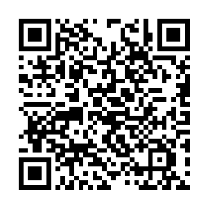 就如同他们本就与这远古仙池之内的水是一体一般二维码生成