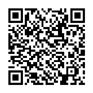 就如同当初和罗伯特交谈结束之后雨果的想法一样二维码生成