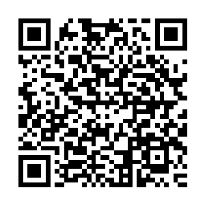 就如神恩学院的人从来都只把魔武学院的人当作是打酱油的一样二维码生成