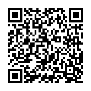 就如这个安静的巷子里突然有人点燃了鞭炮一般二维码生成