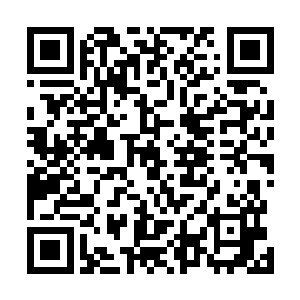 就它们那战斗力……它们已经被耕地里的昆虫养得很胖了二维码生成