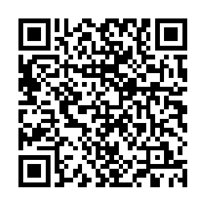 就完全没想到那些打着科考队名义进入到极地大陆的人二维码生成