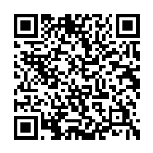 就完全没有两颗挨着的牙齿是在同一个平面上的二维码生成