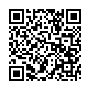 就将三头狼和几个猴子击毙在了掌下二维码生成