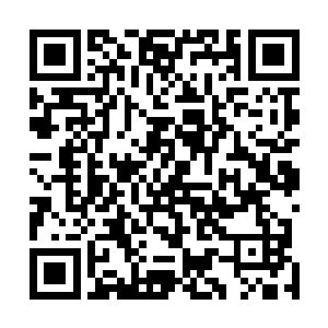 就将她护到了自己的羽翼之下吃白饭……她虽然急需赚钱二维码生成