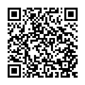 就将自己在中国的总票房顺利推进到了14592万的高度未来破两亿二维码生成