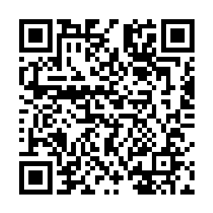 就将自己在返回途中又得到的一颗雷灵珠交给了雷元嘉二维码生成