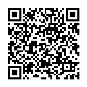 就将自己的内世界强制性安插在了自己的混沌神器二维码生成