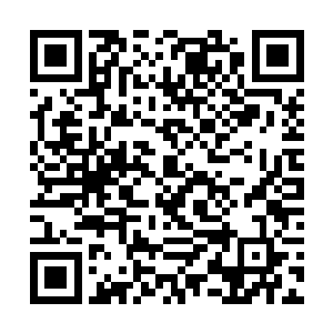 就将通关基地制造的三级文明单兵武器下发放了下去二维码生成