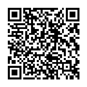 就将遗传工程实验室订阅的几份杂志和报纸一五一十的点出来二维码生成