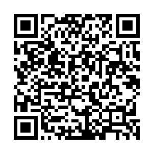 就差没有点名道姓的指出杜克不配获得奥斯卡最佳导演了二维码生成
