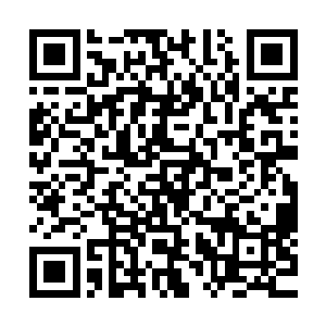 就已经从小地图上知晓了这一只暗中袭击了他的冥兽的来历了二维码生成