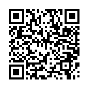 就已经做好了这辈子是陆家的打算了二维码生成