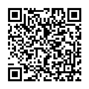 就已经听到了那边传来了激烈的争斗声和仙诀的轰鸣声……二维码生成