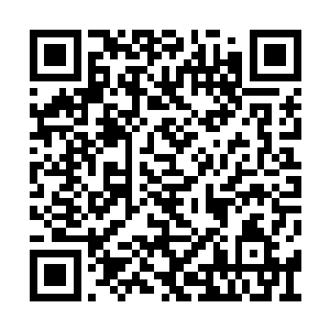 就已经把三楼上的大书架看完了十分之一的数量二维码生成