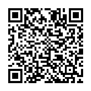 就已经拥有了一份整个天下上至君王下至庶民都认可的愿力气数二维码生成