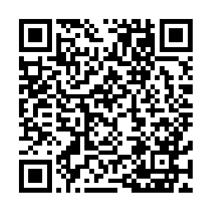就已经拥有全球性知名度与亿万身家的丹尼尔浅浅地笑了笑二维码生成