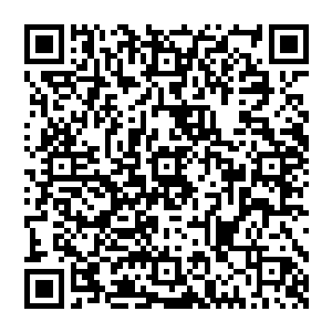 就已经有人处心积虑的对他下手了……对方既然能够对病者是以这种须得多次累积才能奏效的慢性剧毒二维码生成