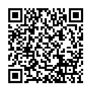 就已经有大半的势力缩影进入到了我的神识海里二维码生成