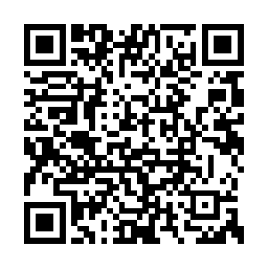 就已经被楚旬冲锋时所带起的可怕劲风直接掀飞二维码生成