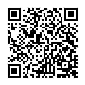 就已经让奥赛罗这样的至尊境强者都感觉到了明显的恐惧了二维码生成