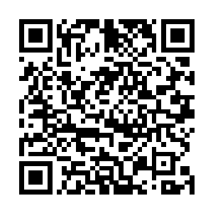 就已经预料到唐文举今天肯定是要对自己进行打击报复了二维码生成