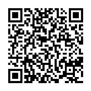 就带着婢女叫了娘家人跟着船夫一起来去江边找我家老爷二维码生成