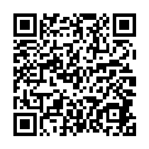 就带着白素仙朝着信息中心旁边的那一圈服务台走了过去二维码生成