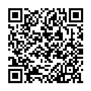 就带着龙蛇和袁天罡在玄武星中四处查看了起来二维码生成