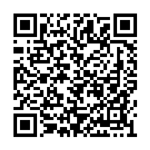 就应该是月茹师妹这样的女子才能够配的上的啊二维码生成