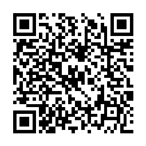 就开始滔滔不绝为徐凤年介绍那些路上的大人物们二维码生成