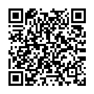 就当你弥补我在秦少安身上这么多年的精神损失费二维码生成