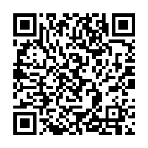 就当着武皇神殿和星皇神殿两个长老一级的使者的面二维码生成